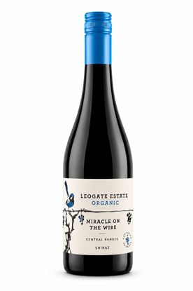 Picture of 2021 MOTW Organic Shiraz