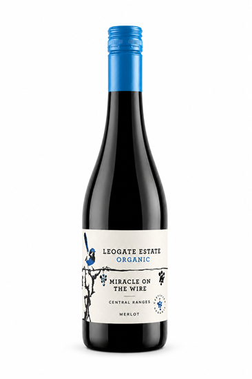 Picture of 2022 MOTW Organic Merlot Domestic