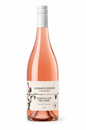 Picture of 2024 MOTW Organic Rose